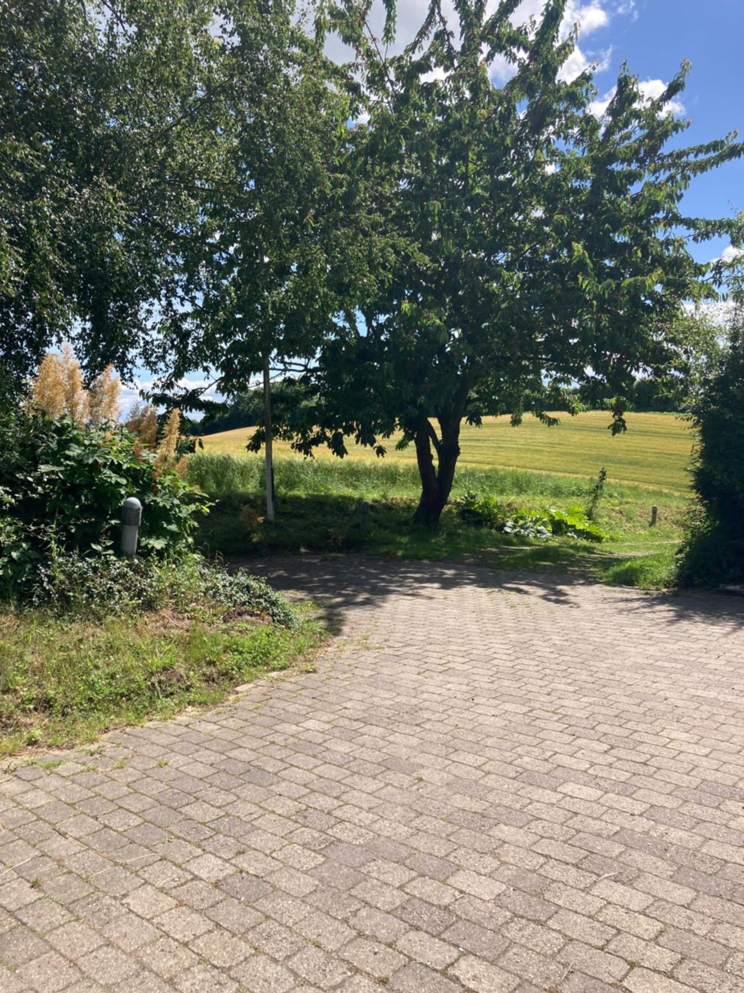 Skovlyset'S B&B Juelsminde  Extérieur photo