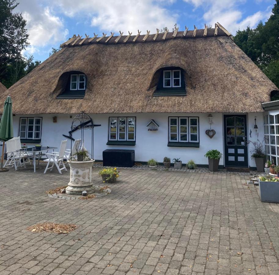 Skovlyset'S B&B Juelsminde  Extérieur photo